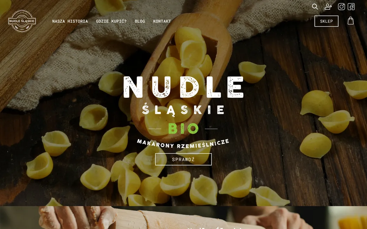 Preview of Nudle Śląskie website